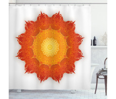Lace Shadowy Cosmic Ornate Shower Curtain