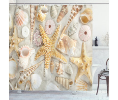 Assorted Seashells Sand Beach Shower Curtain