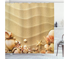 Various Seashells on Sand Shower Curtain