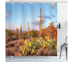 Cacti in Sonoran Desert Shower Curtain