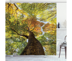 Autumn Tree of Nature Photo Shower Curtain