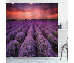 Lavender Field Sunset Shower Curtain