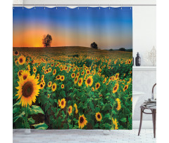 Flower Field at Sunset Shower Curtain