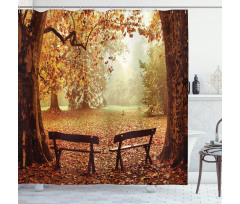 Dramatic Trees and Benches Shower Curtain