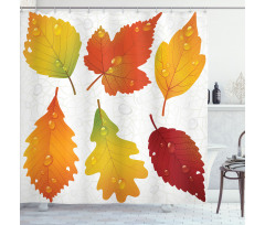 Realistic Dried Leaves Falling Shower Curtain
