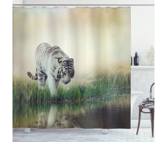 Albino Tiger Near a River Shower Curtain
