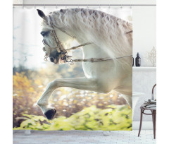 Horse on a Blurry Back Shower Curtain