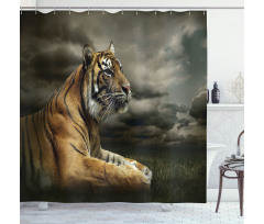 Jungle African Cat Clouds Shower Curtain