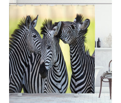 Zebras Wild Nature Shower Curtain