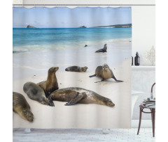 Galapagos Island Sea Lions Shower Curtain