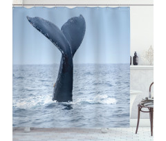 Whale Tail Puerto Lopez Shower Curtain