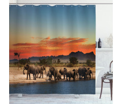 Safari Wildlife Shower Curtain