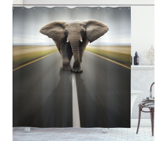Wild Animal on Highway Shower Curtain