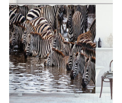 Zebra Wildebeest Herd Shower Curtain