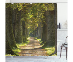 Alley with Oak Trees Shower Curtain