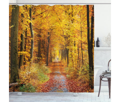 Foliage Leaves Autumn Shower Curtain