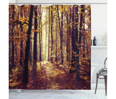 Misty Weather Forest Shower Curtain