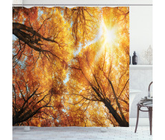 Autumn Sunbeams Forest Shower Curtain