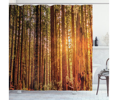 Redwoods Forestry Shower Curtain