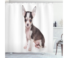 Ears Innocent Eyes Shower Curtain