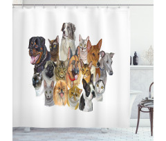 Domestic Animals Shower Curtain