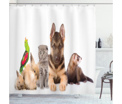 Bunnies Cat Dog and Ferret Shower Curtain