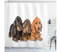 Puppies Lying Together Shower Curtain