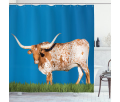 Female Cow and Open Sky Shower Curtain