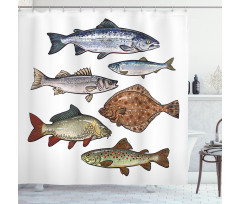 Drawn Various Species of Fish Shower Curtain