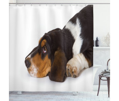 Innocently Lying Dog Shower Curtain