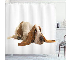 Long Eared Dog Shower Curtain