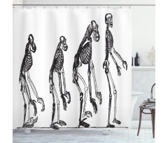 Evolution Theme Ape to Man Shower Curtain