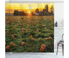 Fall Patch at Sunset Shower Curtain
