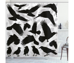 Birds and Feathers Shower Curtain