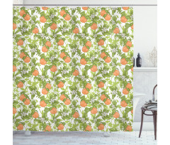 Vintage Mandarins Flowers Shower Curtain