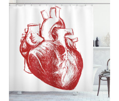 Sketch of Cardio Organ Shower Curtain