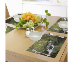 Forest over Mossy Rocks Place Mats