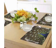 Peacock with Feathers Place Mats