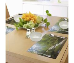 Forest at Golitha Falls Place Mats