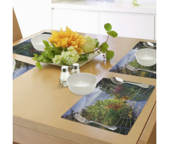 Sakura Garden Place Mats