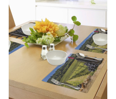 Vineyard Tuscany Grape Place Mats