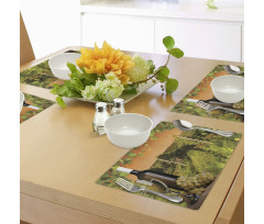 Bottle Grapes Sunset Place Mats