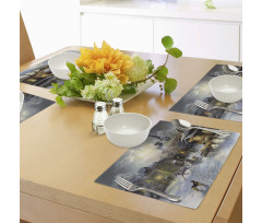 Winter Rural Landscape Place Mats