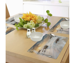 Beach and Horizon Sky Place Mats