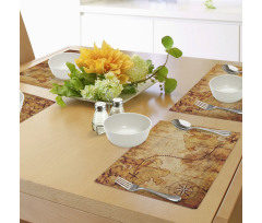 Treasure Map Compass Place Mats