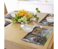 Farmhouse Countryside Place Mats