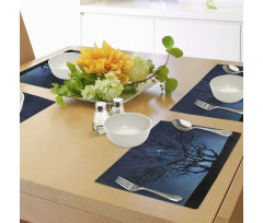 Night Moon Cosmos Place Mats