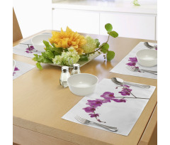 Wild Orchids Petals Place Mats