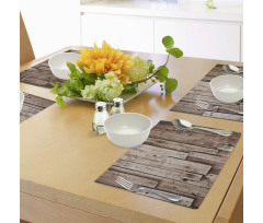 Vintage Barn Floor Art Place Mats