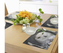 Magician Pet White Owl Place Mats